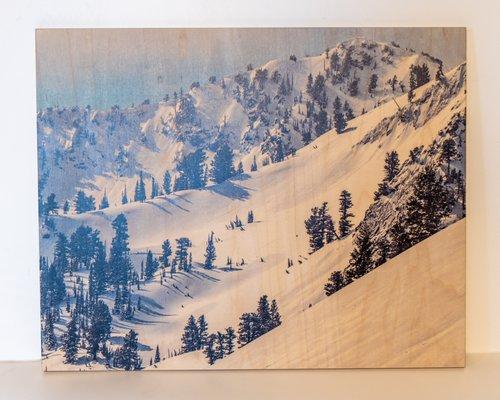 Colby Atkinson Photography