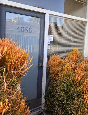 Consultorio Legal de Accidentes y Lesiones