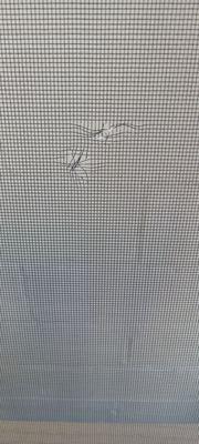 TEARS IN SCREEN DOOR