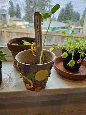 Forest Park Daycare and Preschool