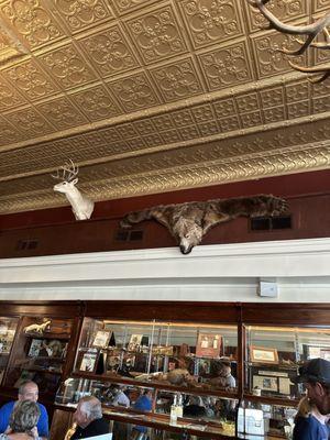 Shiner Palace Saloon