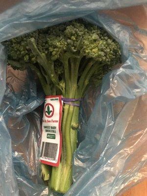 Sweet Baby Broccoli