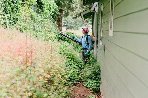 Insight Pest Control Bremerton