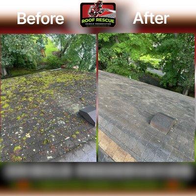 Moss and organic material destroy the integrity of asphalt shingles. Keeping them clean helps prevent costly premature roof replacements.