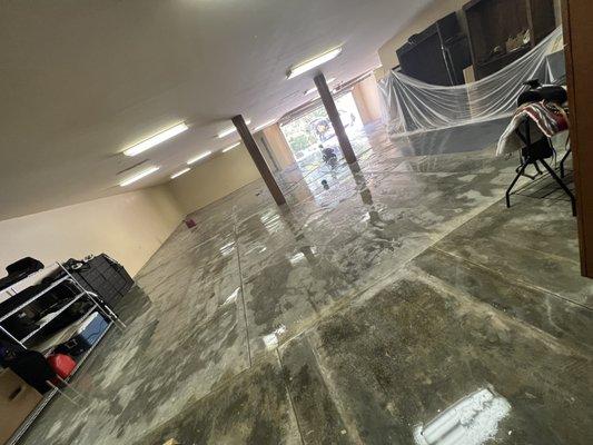 Cleaned out my garage and cobwebs, very good service and showed up on time Will use again . Thank you !