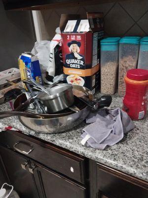 Paddio's Polished Perfection