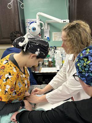 Happy Tails Veterinary Hospital