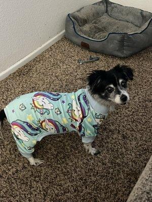 Southern Kern Veterinary Clinic