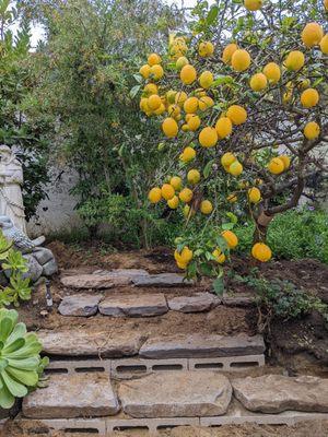 Casual support for ground.