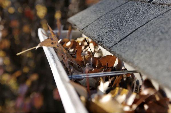 Elite Exterior Services