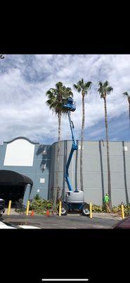 Image Maker Designs & Tree Service