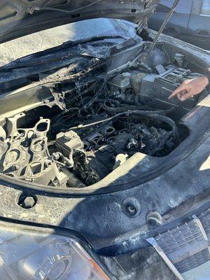 Engine bay with the owners hand showing the damage.