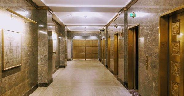 Hodler Capital Group