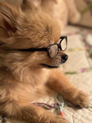 Iredell Companion Animal Hospital