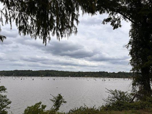 lake darbonne state park