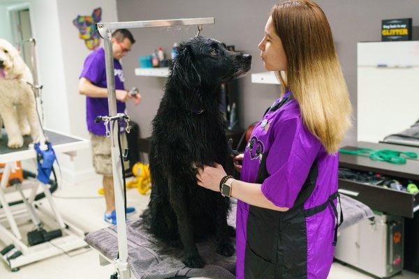 Playful Paws Grooming Salon & Daycare