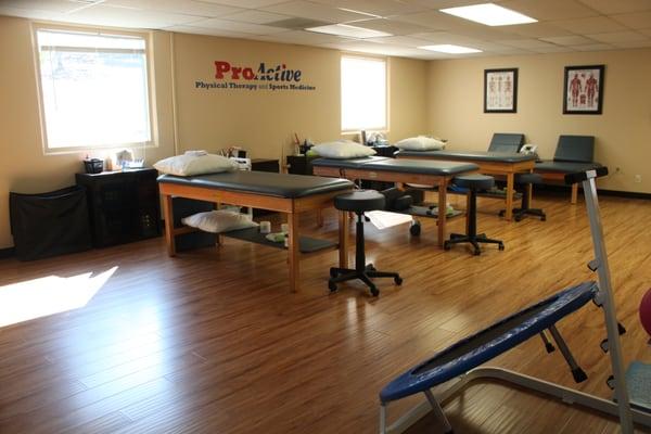 Proactive Physical Therapy & Sports Medicine