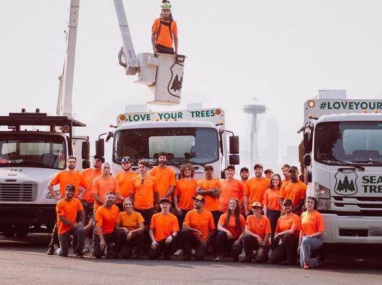 Seattle Tree Care