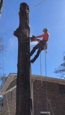 O & R Southern Tree Care