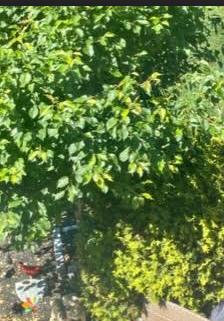 Garden State Landscaping & Tree Service