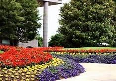 Crystal Green Landscaping