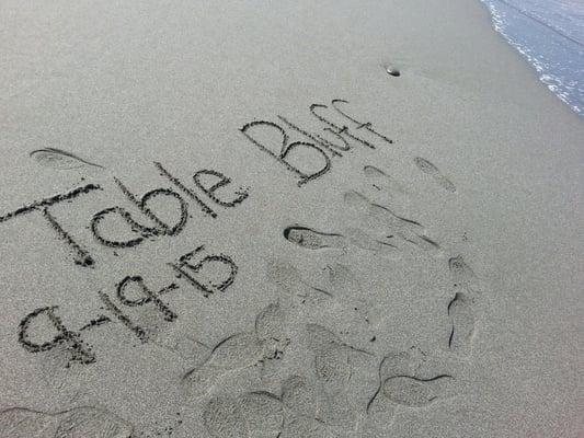 Table Bluff Reservation