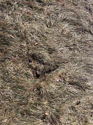 Bell Bradburn Apartments