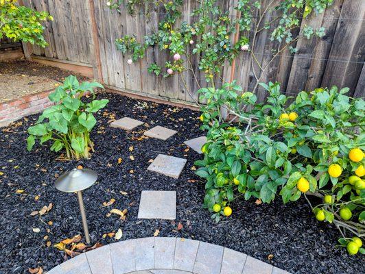 Landscape Associates of CA