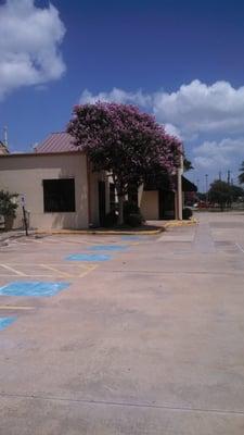 Gastroenterology Consultants