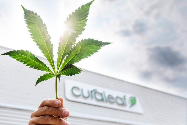 Curaleaf
