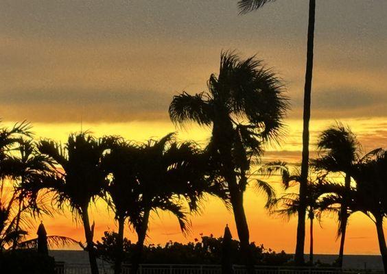 Fernando Rey - Real Estate