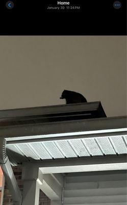 Franklin Place Apartments