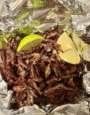 Chapulines