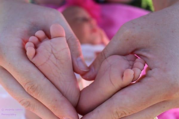 Amanda Capello Photography