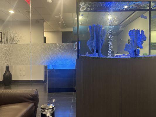 South Houston Endodontics