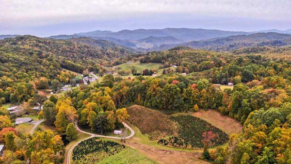 Cornett Deal Christmas Tree Farm and Vacation Rentals
