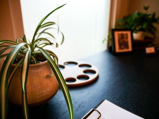 North Texas Midwifery