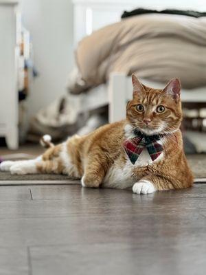 Country Club Towers and Gardens