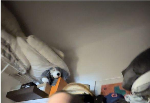 "This is how the puppy was supposed to be oriented"  (Over the corner of the orange box, w/a paw on top & a paw on the side)