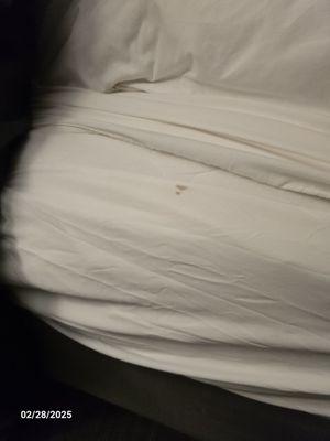 Good Nite Inn Camarillo