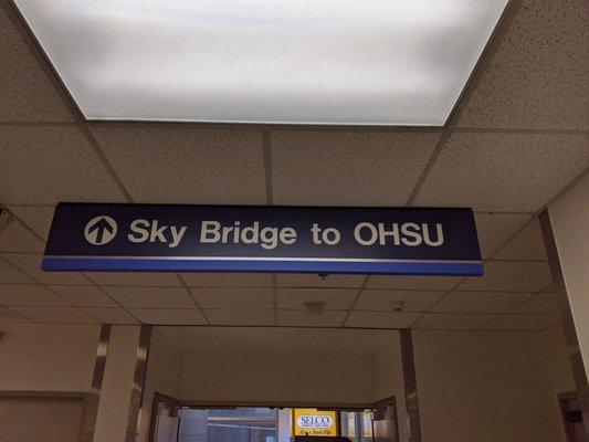 VA Skybridge
