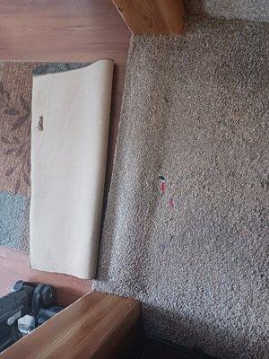 Paradise Flooring & Design