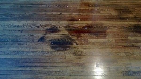 DM Hardwood Flooring, LLC