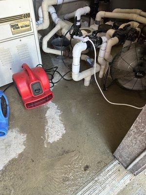 Platinum Pool Service