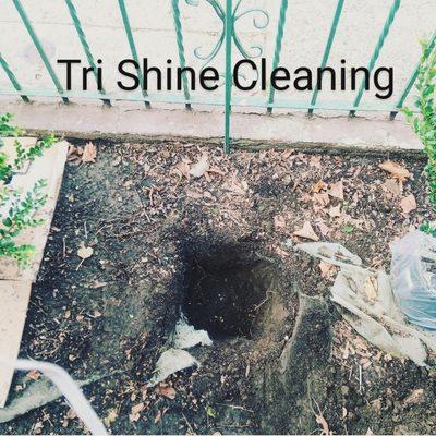 Tri Shine Cleaning