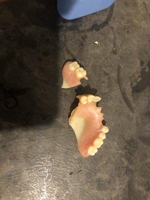 Dental Walk In Clinic of Tampa Bay