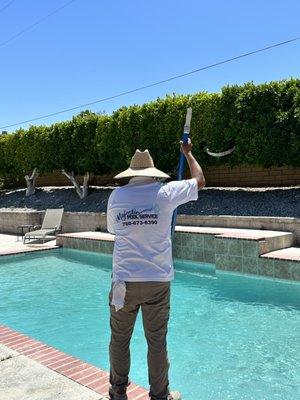 Majestic Pool Service