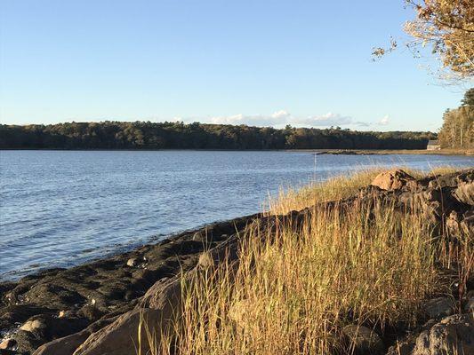 Skolfield-Liberty farm Trail