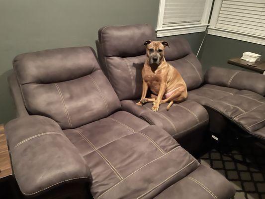 Harper rarely gets off...