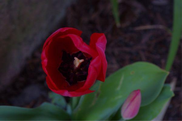 West Sonoma Inn & Spa